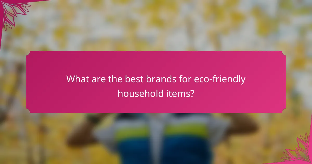 What are the best brands for eco-friendly household items?