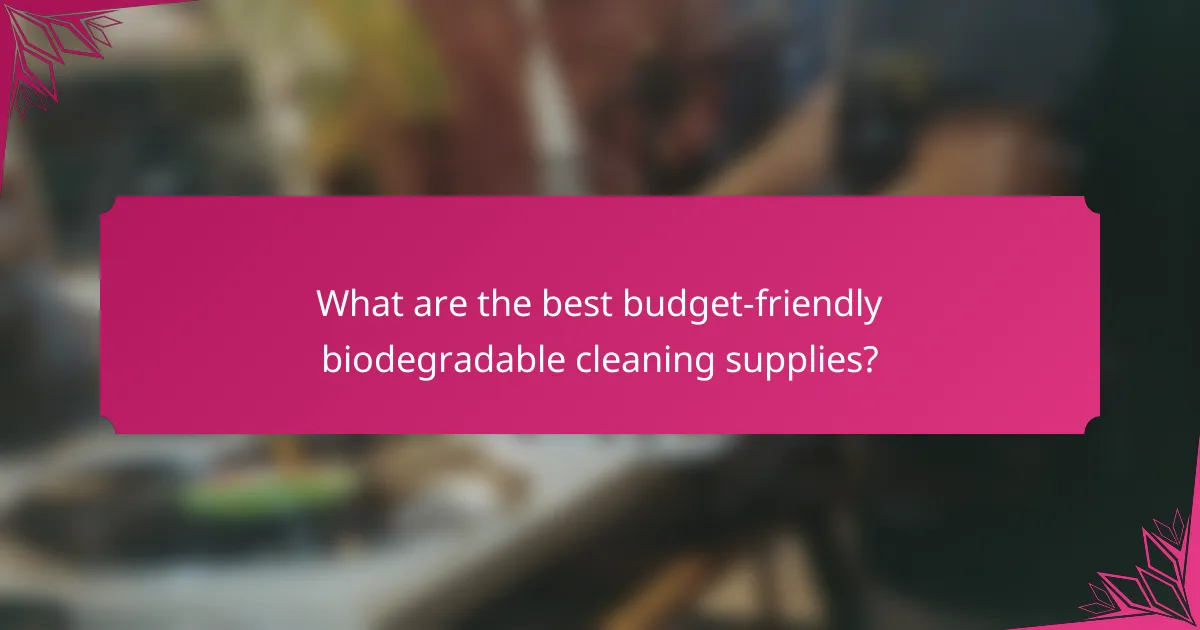What are the best budget-friendly biodegradable cleaning supplies?